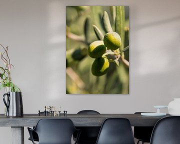 Macro of olives by Ankie Kooi