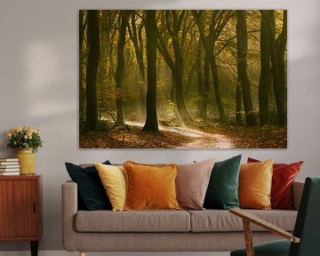 Speulderbos - Dancing Trees by Frank Smit Fotografie