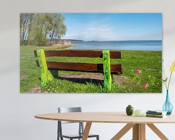 Bench by a Lake Mecklenburg Lake District by Animaflora PicsStock