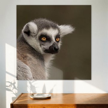 wat wil je van anja voorn