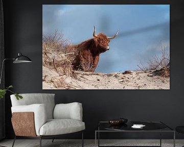 Scottish Highlander on top of the Dune by Deletable Arts