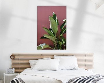Banana plant for pink wall in Lisbon by StudioMaria.nl