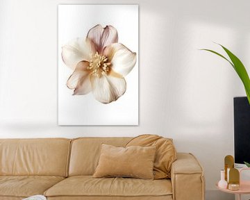 Bloem in zachte pasteltinten op witte achtergrond van Digital Art Waves