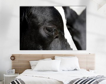 closeup portret van een koe van W J Kok