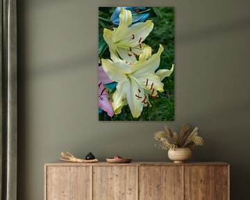 Large yellow lilies by Jolanda de Jong-Jansen