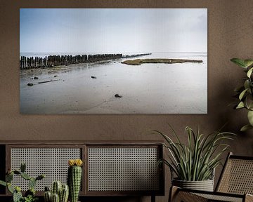 Piles dans la mer des Wadden près de Moddergat en Frise (Les Pays-Bas) sur Michel Geluk
