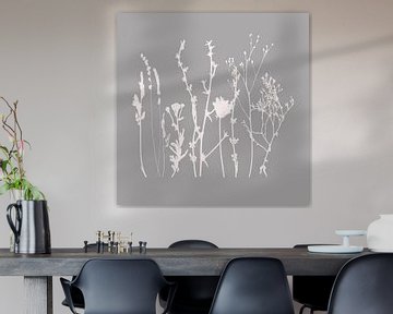 Modern Botanical Art. Flowers, plants, herbs and grasses in grey and white no. 2 by Dina Dankers
