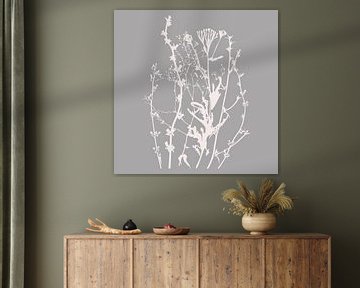 Modern Botanical Art. Flowers, plants, herbs and grasses in grey and white no. 10 by Dina Dankers
