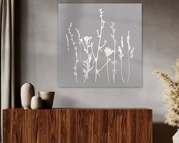 Modern Botanical Art. Flowers, plants, herbs and grasses in grey and white no. 5 by Dina Dankers