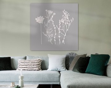 Art botanique moderne. Fleurs, plantes, herbes et graminées en gris et blanc. 7 sur Dina Dankers