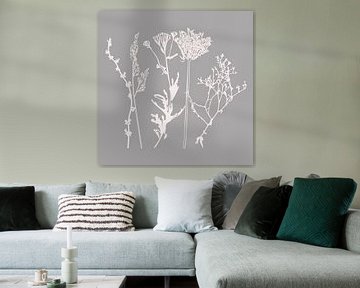 Moderne Botanische Kunst. Blumen, Pflanzen, Kräuter und Gräser in Grau und Weiß Nr. 8 von Dina Dankers