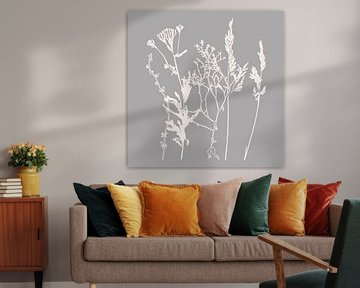 Modern Botanical Art. Flowers, plants, herbs and grasses in grey and white no. 9 by Dina Dankers