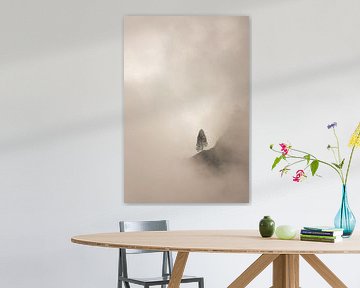 Minimalistische Boom in Mist in Srilanka - Portrait van Rudolfo Dalamicio