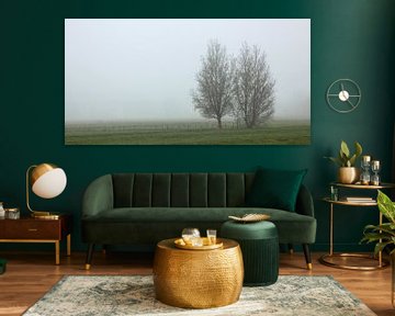 panorama twee bomen in de mist