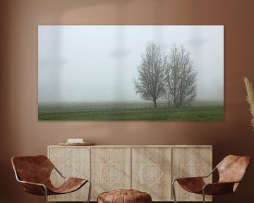 panorama twee bomen in de mist