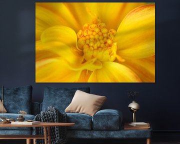 Dahlia orange sur Iris Holzer Richardson