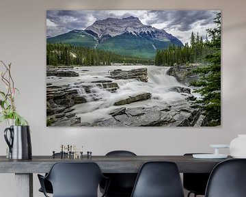 Athabasca Falls von Peter Vruggink