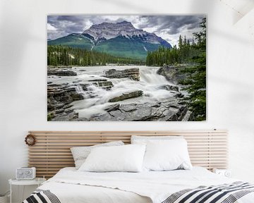 Athabasca Falls van Peter Vruggink