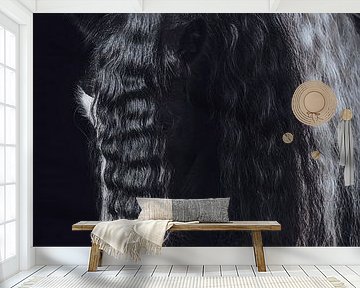 Close up Fine art portrait horse by Shirley van Lieshout