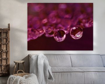 Purple Rain (Drops in Dark Red) by Caroline Lichthart