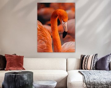 RED FLAMINGO // exotic by Rita Kuenen