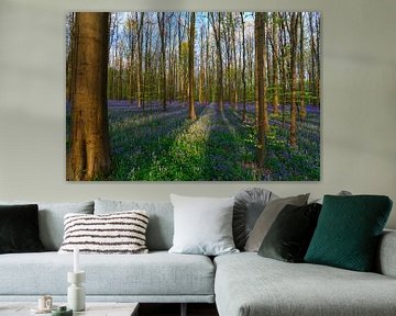 Frisches Grün und Lila im Haller Wald von Menno Schaefer