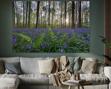 Frisches Grün und Lila im Haller Wald von Menno Schaefer