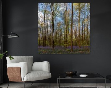 Frisches Grün und Lila im Haller Wald von Menno Schaefer