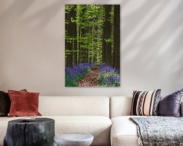 Frisches Grün und Lila im Haller Wald von Menno Schaefer