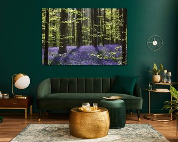 Fresh green leaves of beech and purple of wild hyacinth by Menno Schaefer