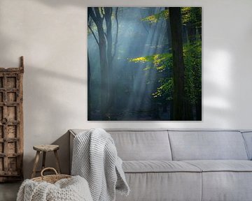 Der verwunschene Wald