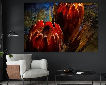 Le majestueux Protea
