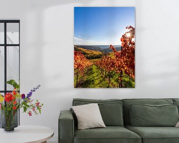 Vineyards near Stuttgart-Rotenberg in autumn - Stuttgart by Werner Dieterich