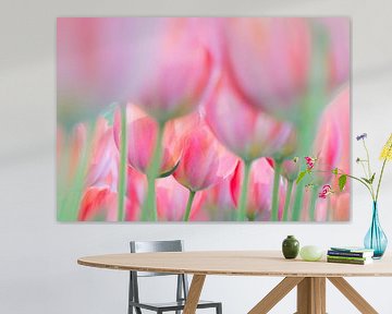 Doorkijkje bij een zacht roze/oranje tulpenveld op de Keukenhof (Nederland) van Birgitte Bergman