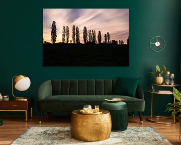 Sunrise with a long shutter drive at a silhoutte Italian poplar tree landscape by Kim Willems