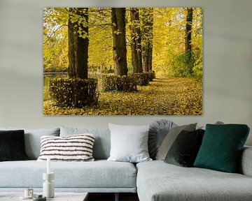 Vue d'automne depuis le sentier de randonnée du domaine de Soelen sur René Weijers