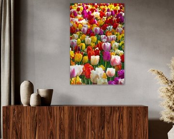 Hollandse Tulpen: de kleurrijke Keukenhof van Ingrid de Vos - Boom