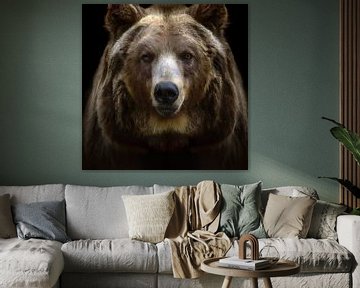 grizzly bear by Jacco Hinke