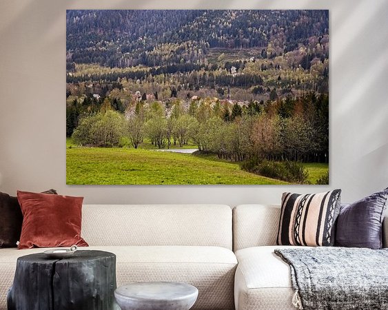 Aperçu de la chambre