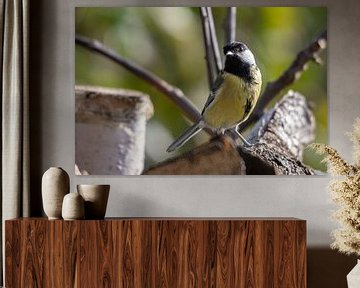 Het flamboyante koolmeesje van het groene bos van Swen van de Vlierd