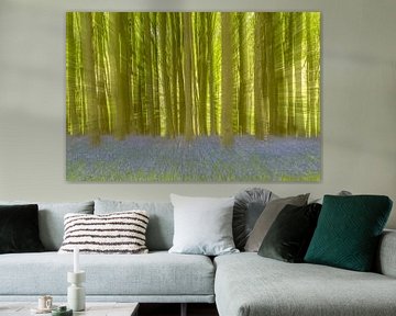 Bluebells in Hallerbos by Sven Scraeyen