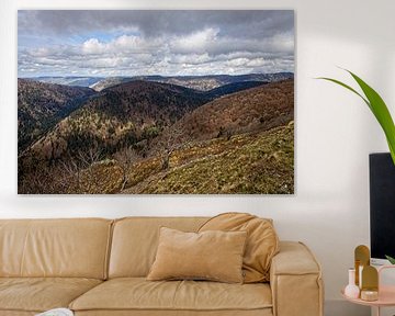 Le Honeck / Route des Crêtes (Vosges) sur Rob Boon