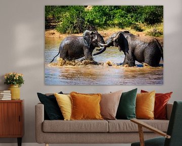 Twee olifanten stoeien in het water van Simone Janssen