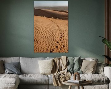 Pistes de chameaux dans les sables de Sharqiyyah - Oman sur Awander