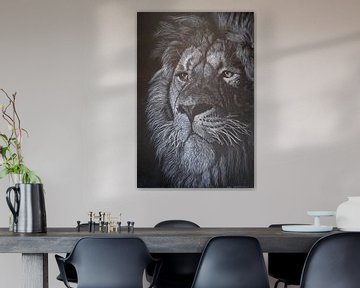 Lion in Black and White by Carla Jacobsen