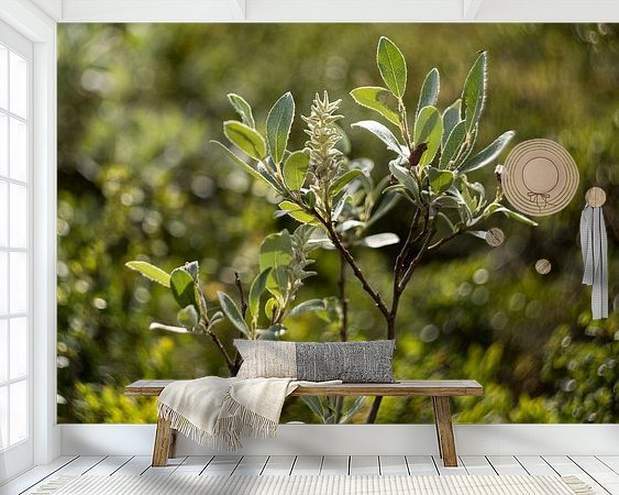 Raumvorschau