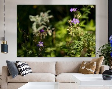 Paarse veldbloemen, natuur in Noorwegen van Karijn | Fine art Natuur en Reis Fotografie