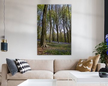 Neigembos Spring Forest View, Belgium by Imladris Images