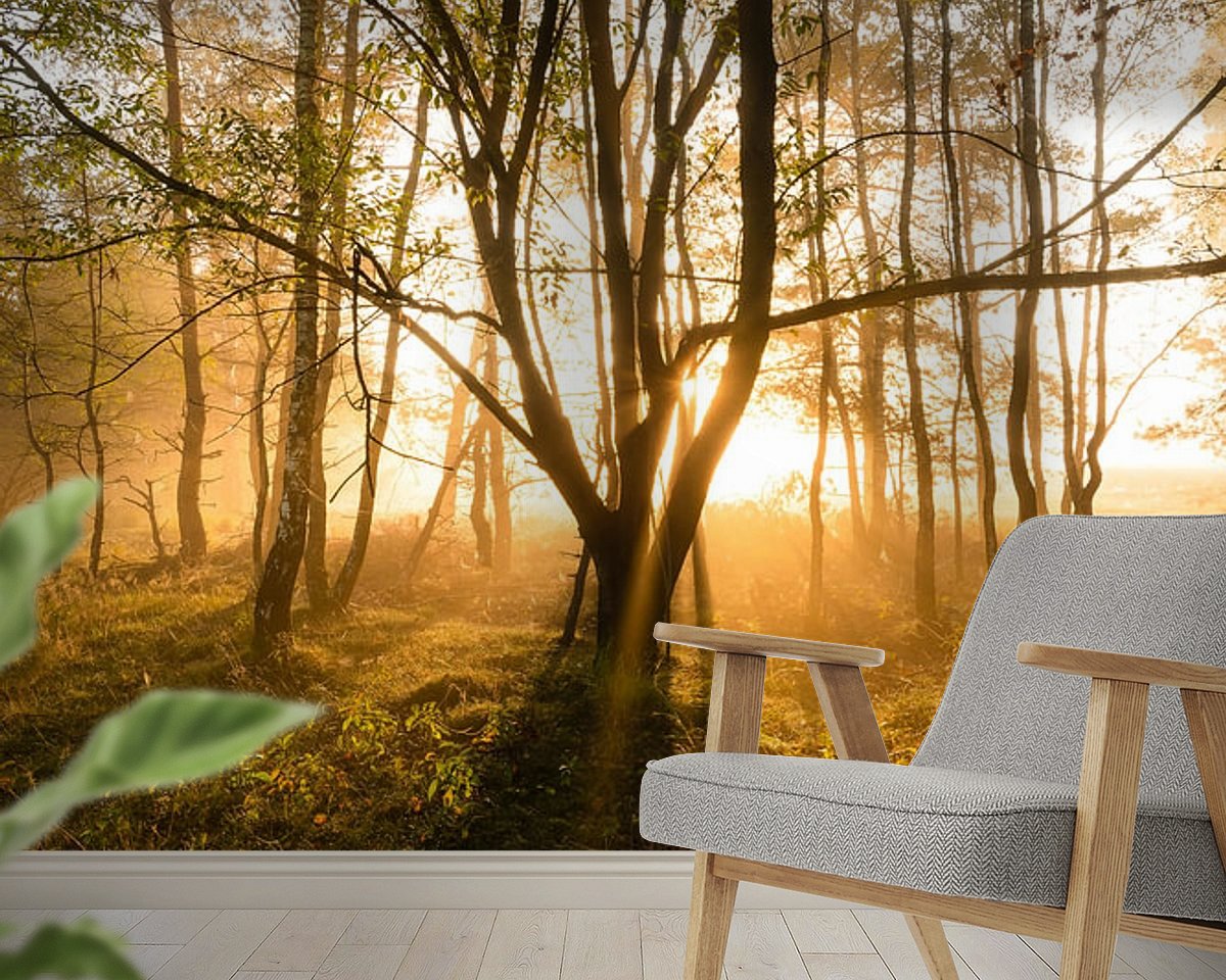 Raumvorschau