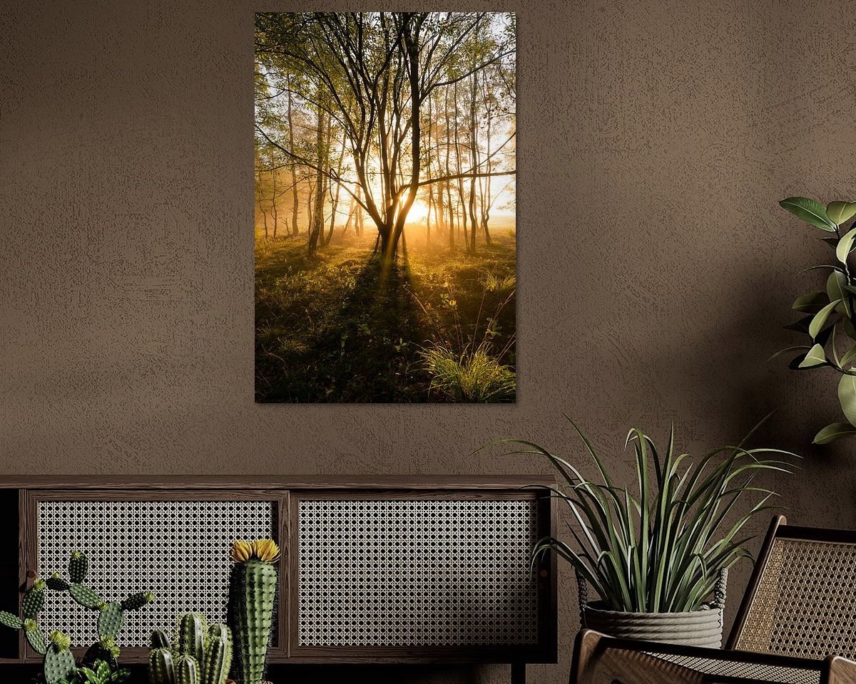 Raumvorschau